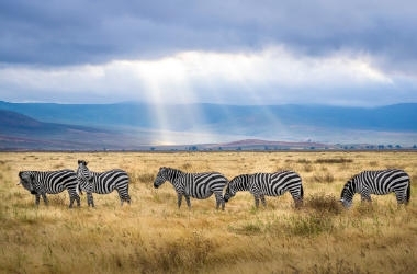 Kirándulj a KiwiSunnal Afrika világába!
