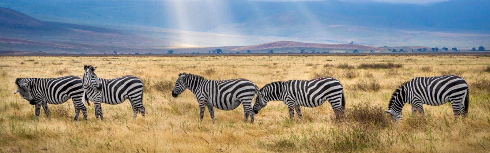 Kirándulj a KiwiSunnal Afrika világába!